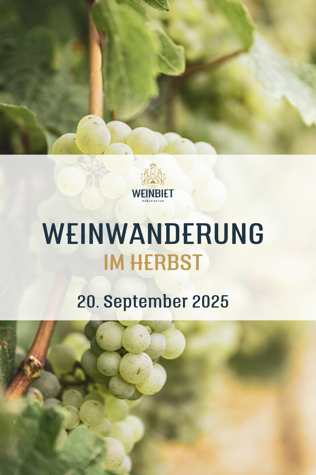 weinwanderung-pfalz-september-herbst-weinlese-weinevent-weinbiet-onlineshop-pflzerweine-onlinebestellen_20_09_2025