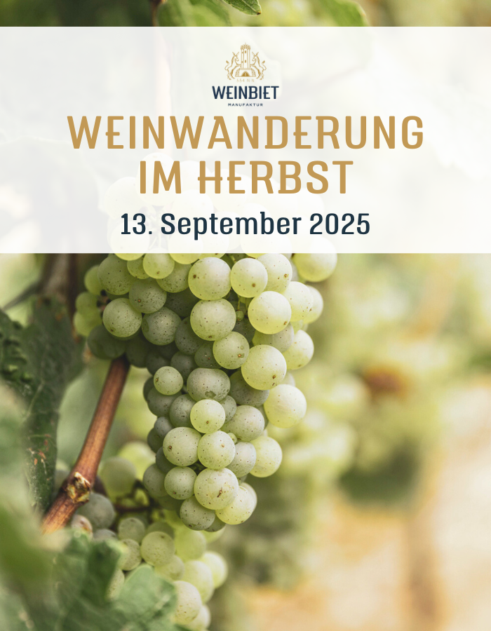 Weinwanderung im Herbst - 13.09.2025 Weinwanderung im Herbst - 13.09.2025