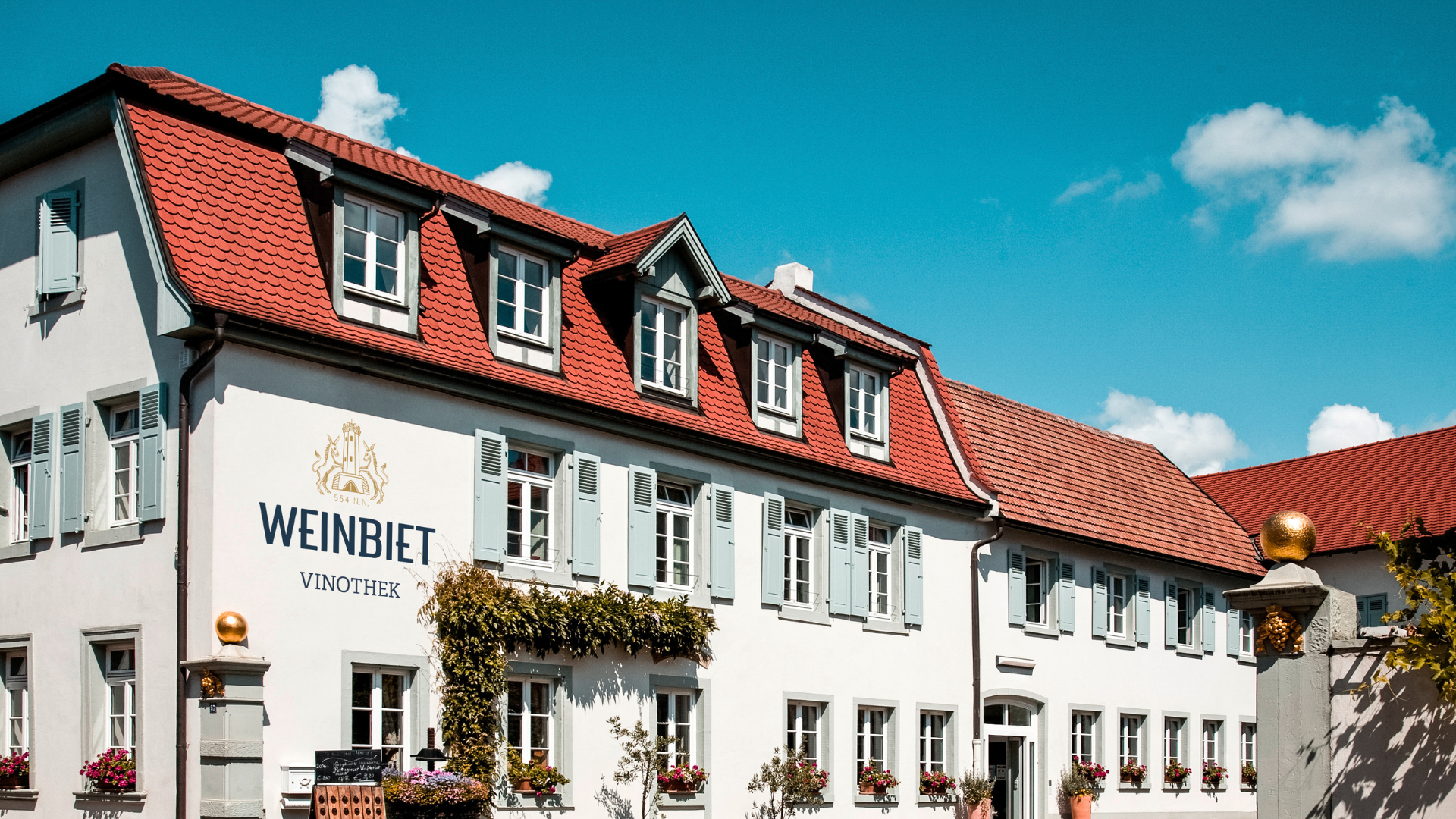 weinbiet-vinothek-mussbach-onlineshop-pflzerweine-pfalz_05_2025